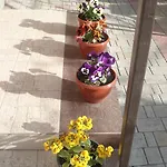 Guest нouse